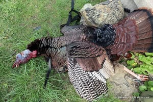 IMG_0383.JPG