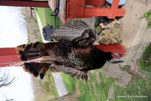 IMG_0370.JPG