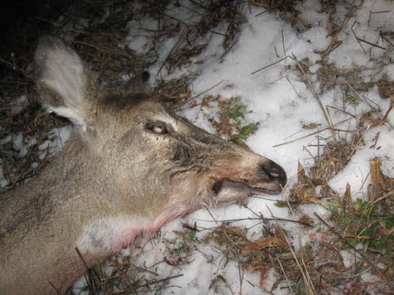 It must be some sort of syndrome