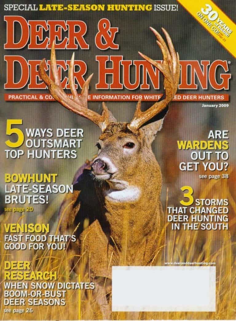 The shaman in Print — D&DH