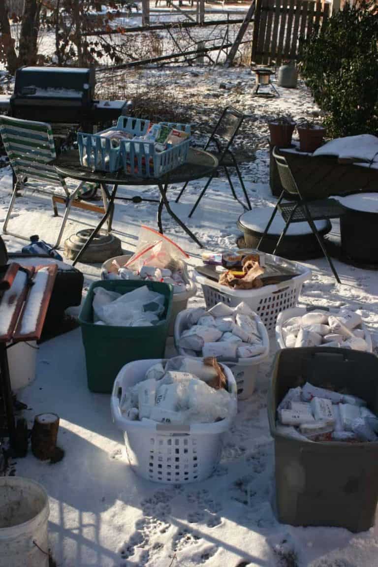 Taking the Venison for a Walk in the Snow