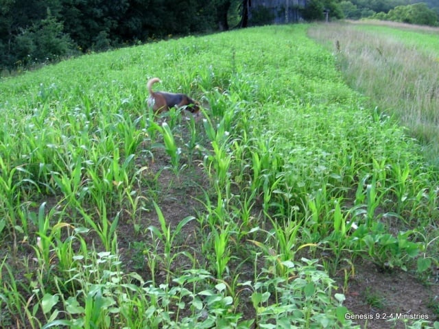 We return you now to our regularly scheduled program. . .