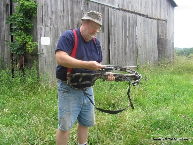 Crossbow Update-
