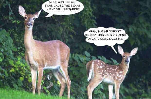 Yeah, but he calls his Girlfriend. . .