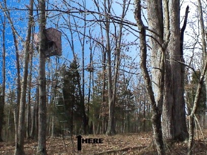 A Farewell to Lorelei