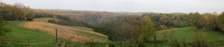 Return to Turkey Camp, 2019