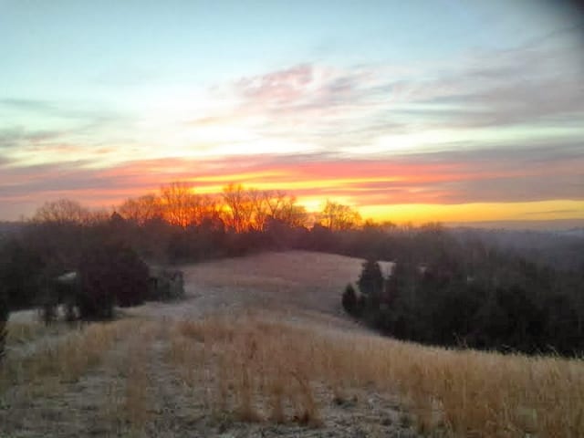 Report from Turkey Camp 2008