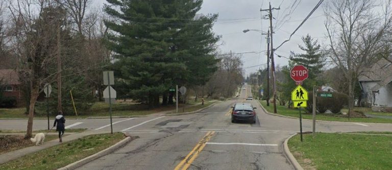 Deer Intelligence and the 4-way Stop