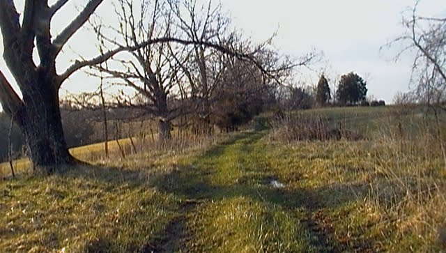 Some Days, It’s Like You Don’t Know Squat