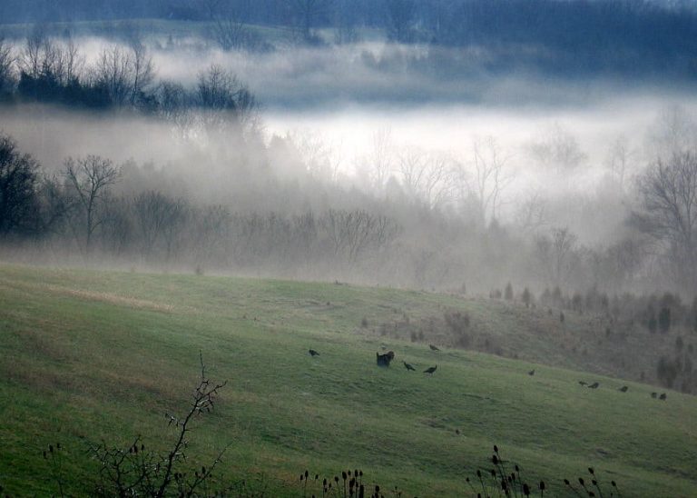 PODCAST: Wake-up Call