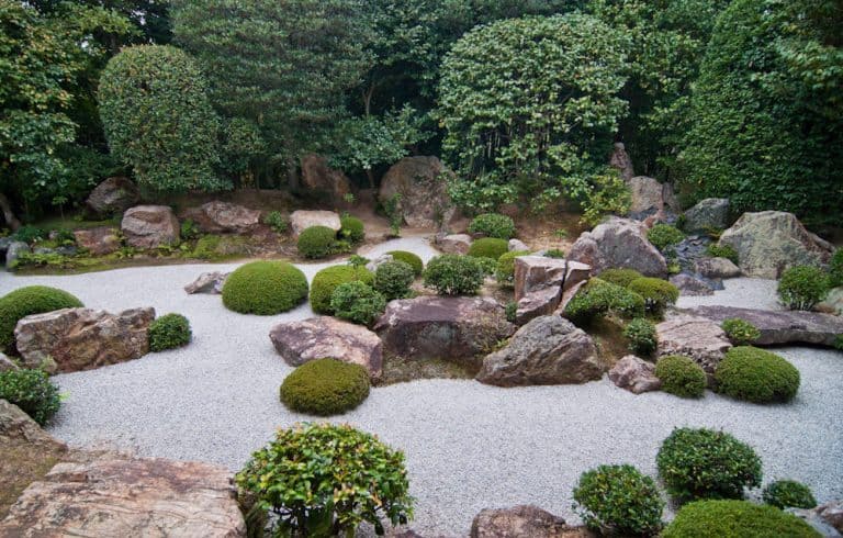 The Zen Garden