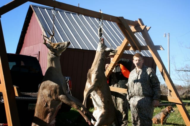 How fast do you need to gut a deer