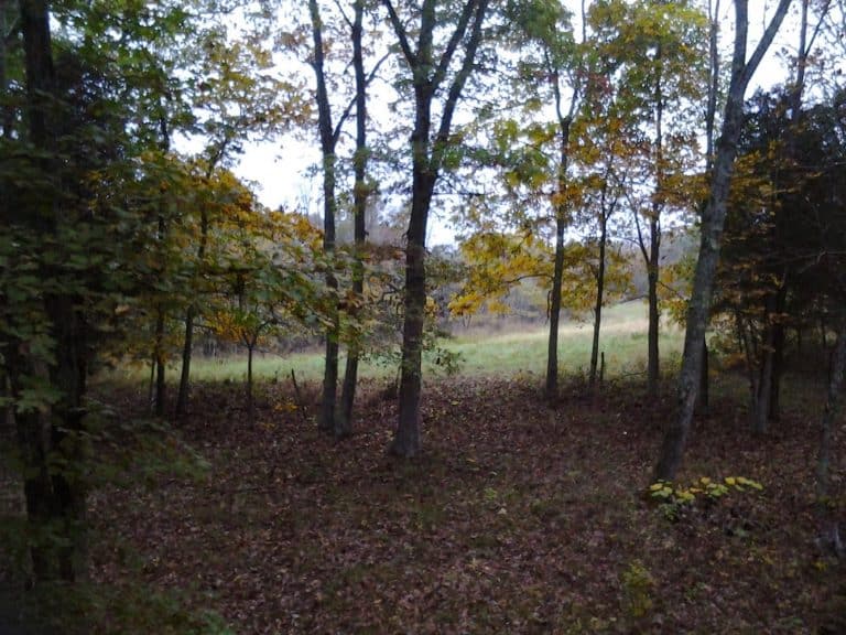 How was my Bow Season?