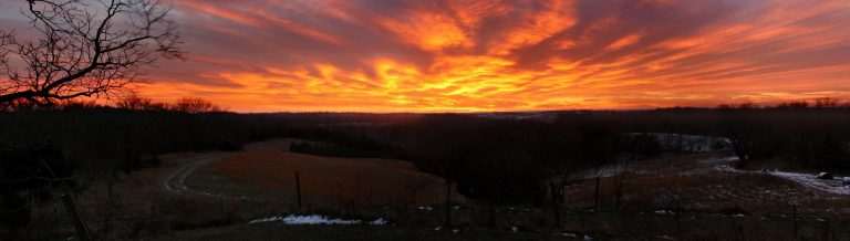 Deer Season Post-Mortem, 2016