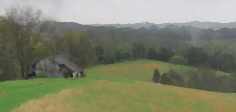 How Still is Still for a Turkey Hunter?