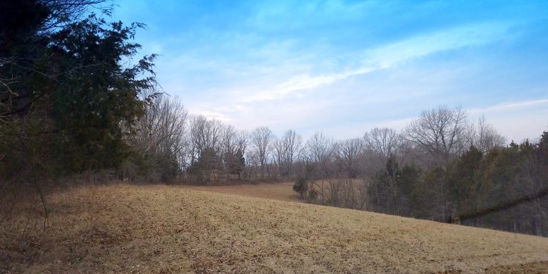 More Poop on the Poop