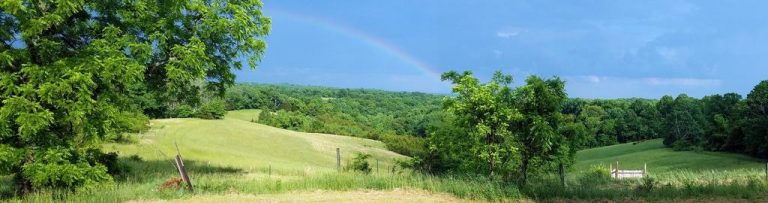 I’m just a Lowly Acorn Farmer