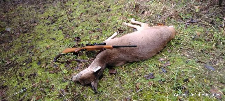 But Wait!  There’s More