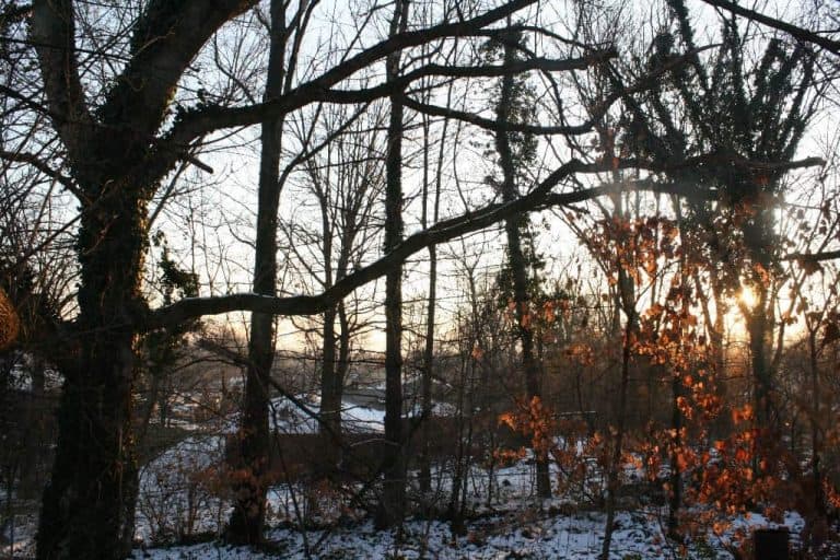 Nearing the Half-Way Point