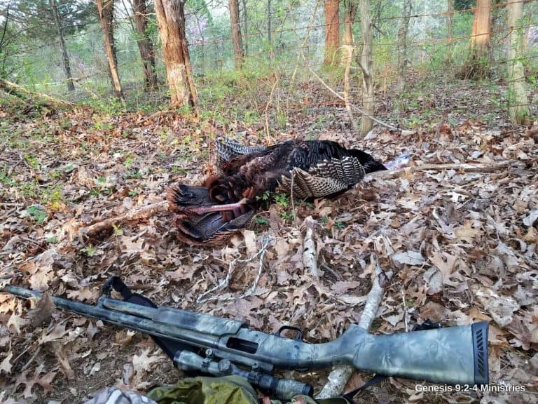 If I Was the New Guy at Turkey Camp  Part I