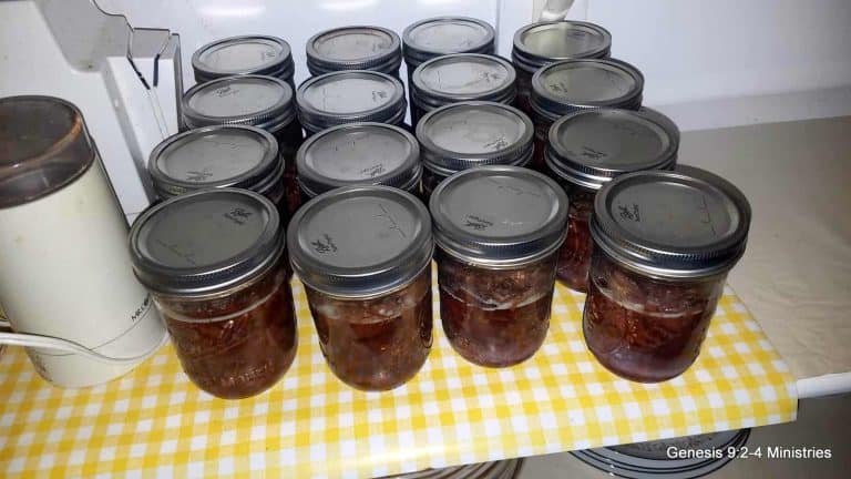 Adventures in Canned Venison