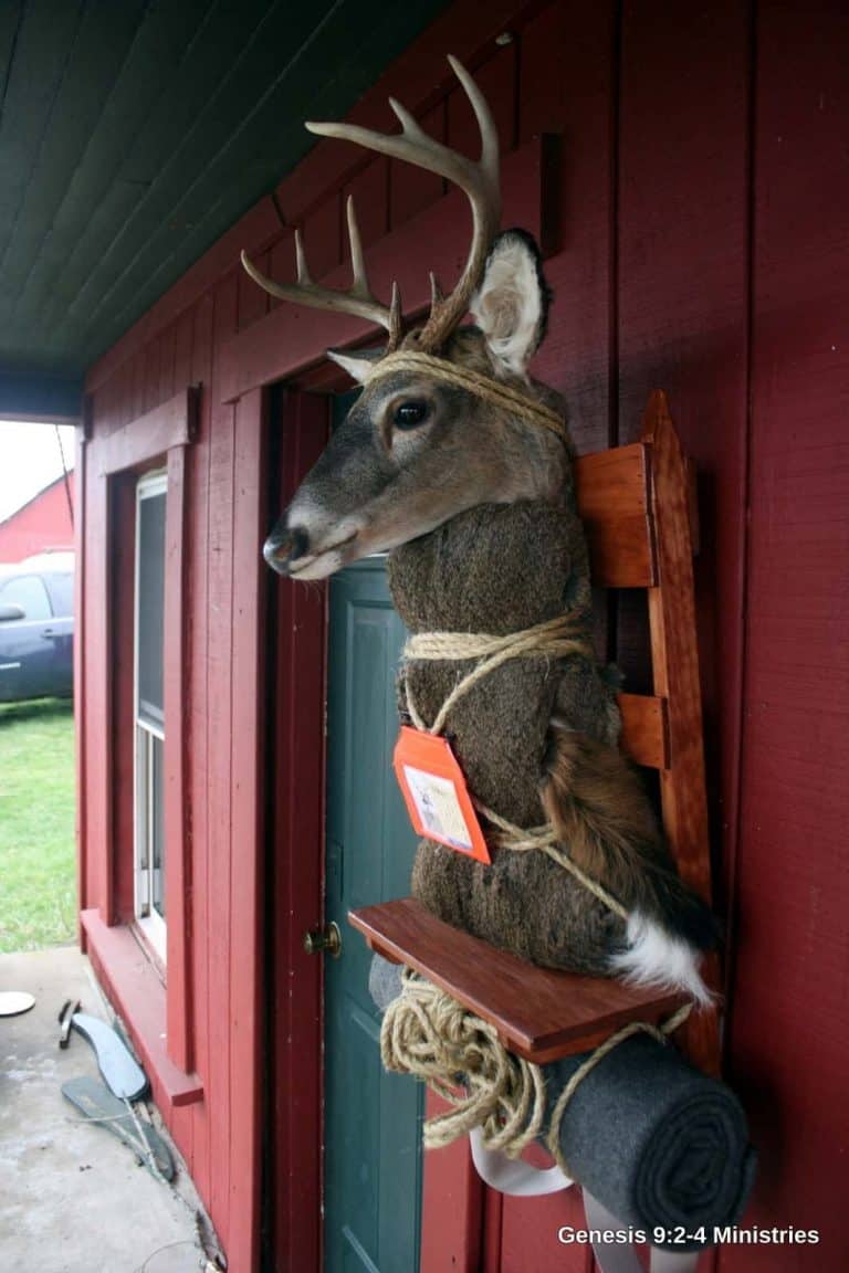 T-Minus 4 Weeks and Counting