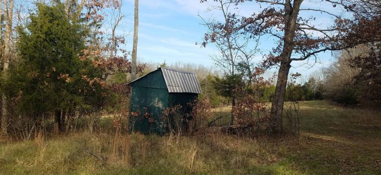 Deer Hunting in a Nutshell