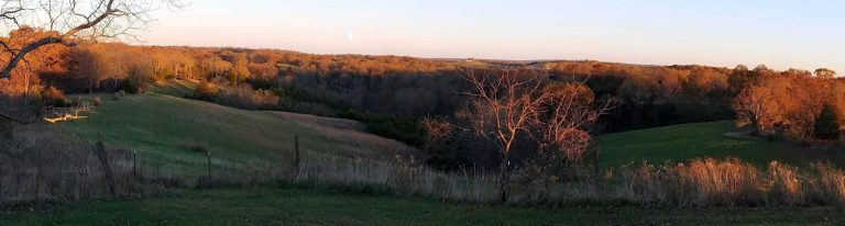 Which is Better for Hunting: Morning or Afternoon