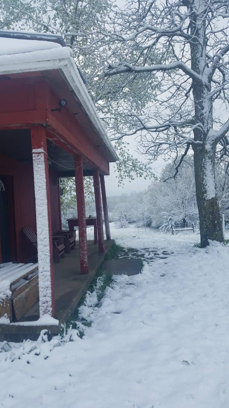 Turkey 2021:  A Progress Report