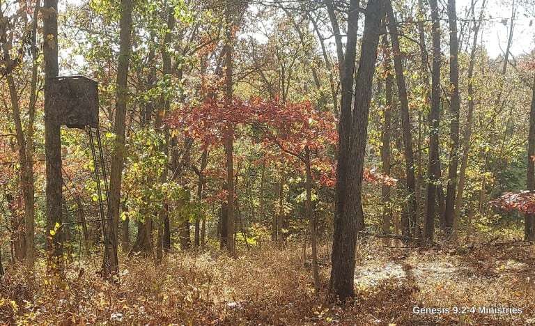 How Do I Know a Deer is Coming?