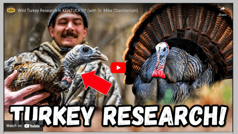Turkey  Research in Kentucky