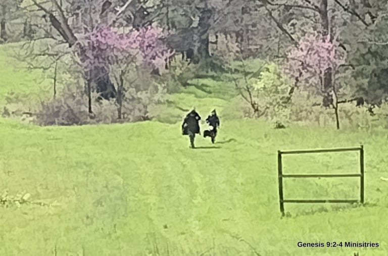 Report from Turkey Camp– The Opener, 2023