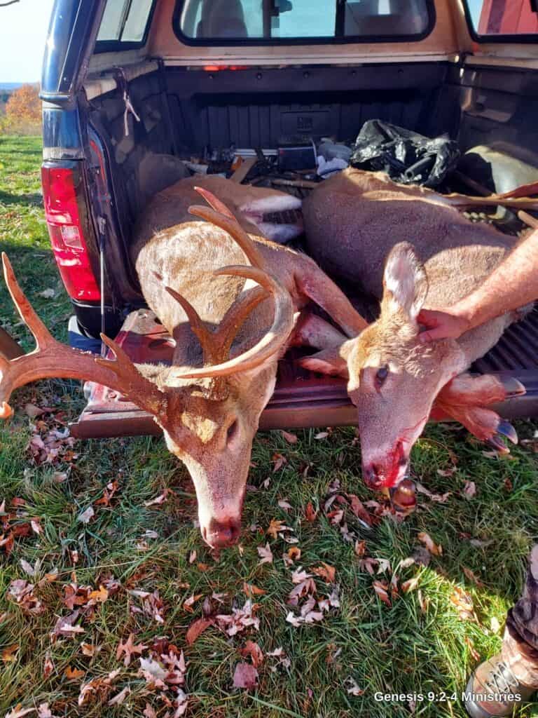 Report From Deer Camp