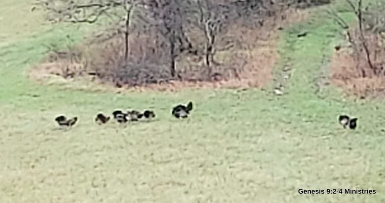 PODCAST: Foxtrot Charlie @ The Honey Hole