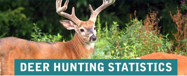 Kentucky Deer Hunting Stats