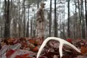 A man standing in the woods with a deer antler