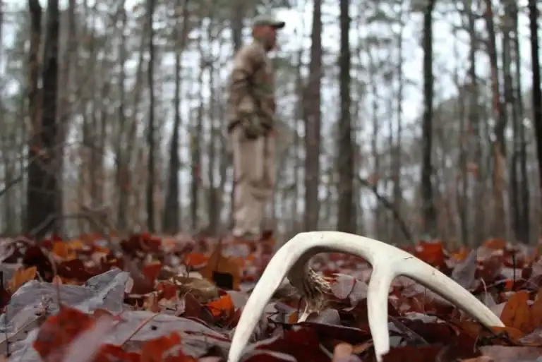 Bizarre Poaching Story