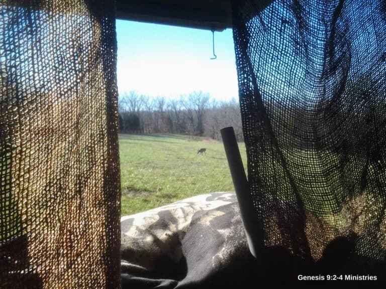 The Differences Between Hunting and Target Shooting