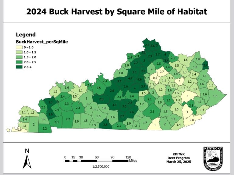New KY Deer Stats