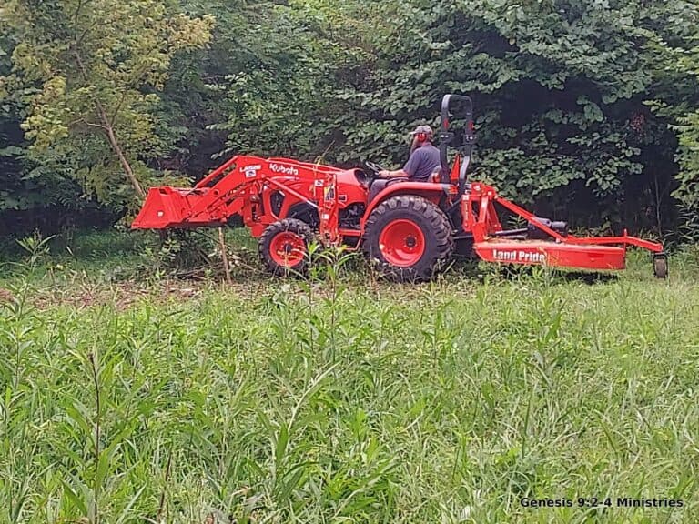Catching up on Food Plots
