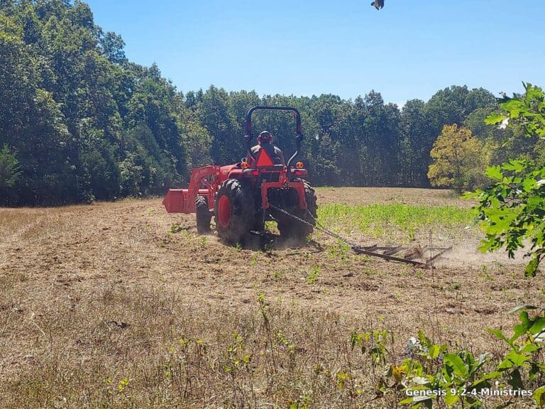 Food Plots 2025