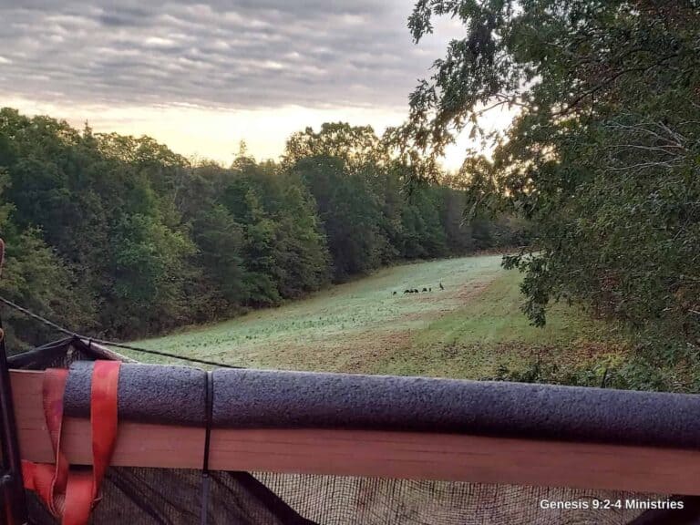 Early Muzzleloader Season, 2025