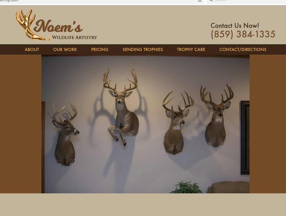Noem’s Wildlife Artistry