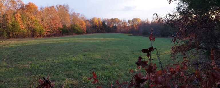 Deer Season Post-Mortem, 2025