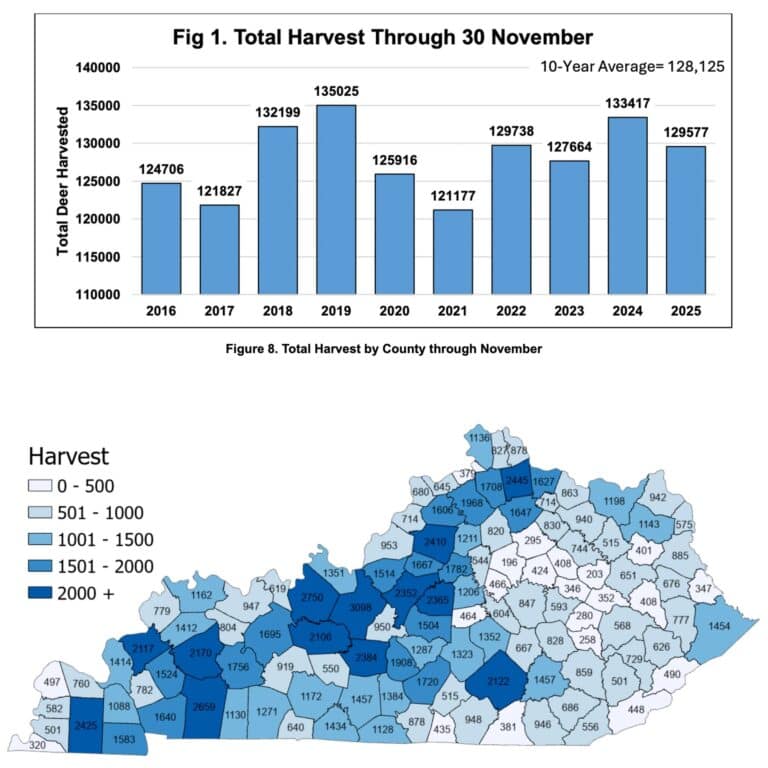 KYDFWR Announces November Deer Results