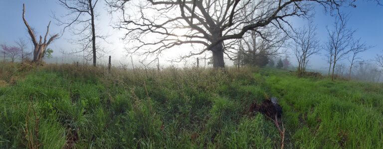 Scouting or Just Trusting Your Spot