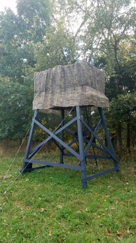 Zoom in 20171007_122758.jpg