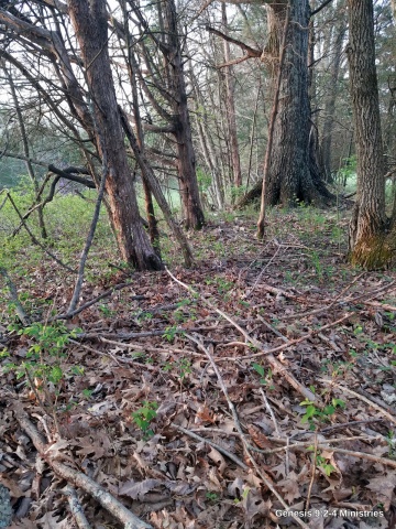 20190418_072334.JPG