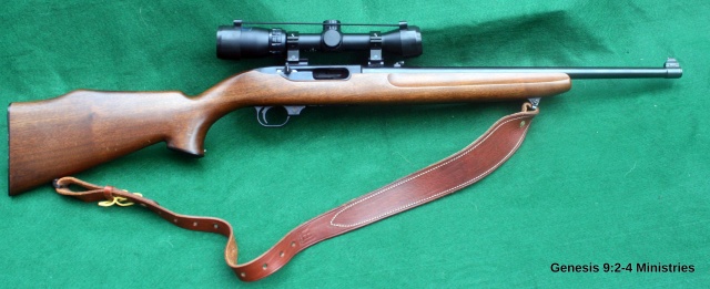 Zoom in Ruger Model 44 Carbine.JPG