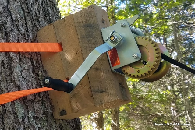 Zoom in 1-20191013_115733.jpg